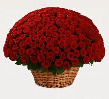 Премиум букет из: Розы в Марковский