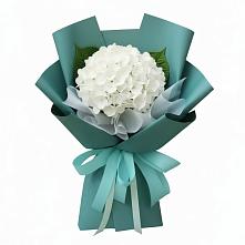 Букет цветов из:  Гортензия в Марковский